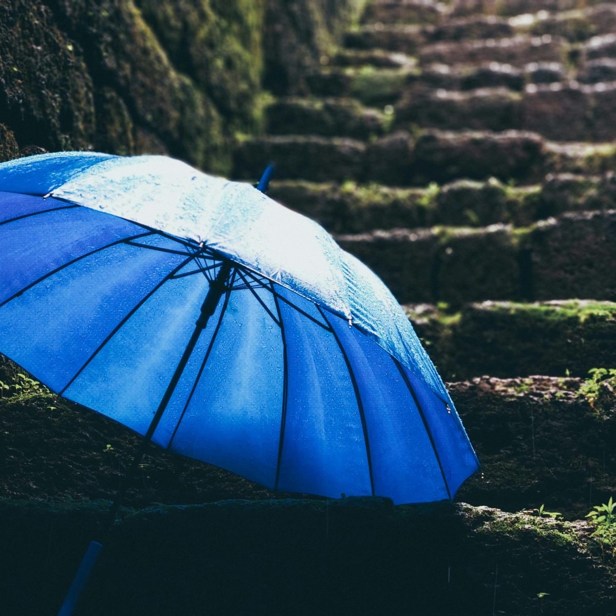 Why do I struggle on rainy&nbsp;days?