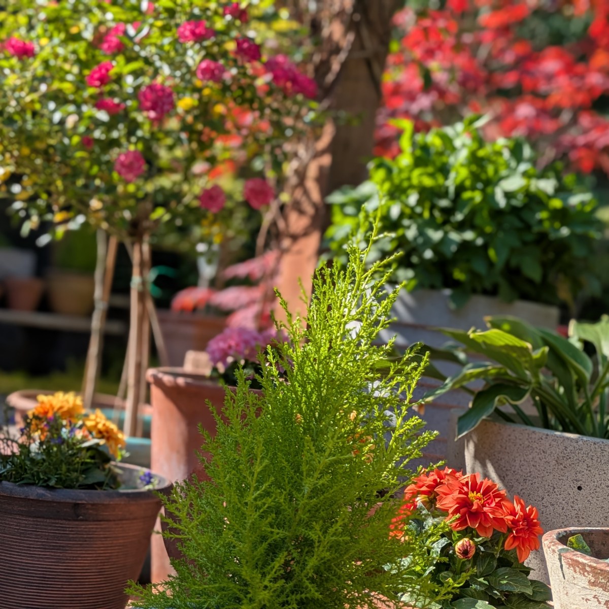 What is Mindfulness?