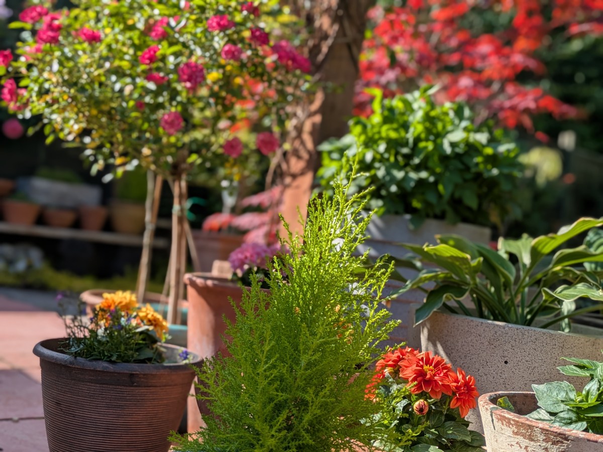 What is Mindfulness?